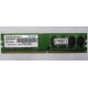 Модуль оперативной памяти 4Gb DDR2 Patriot PSD24G8002 pc-6400 (800MHz)  (Новочеркасск)