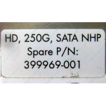 HP 250G 7.2k 432337-001/ 399699-001 / 397377-004 SATA HDD (Новочеркасск)