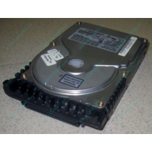 Жесткий диск 18.4Gb Quantum Atlas 10K III U160 SCSI (Новочеркасск)