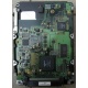 Жесткий диск 18.4Gb Quantum Atlas 10K III U160 SCSI (Новочеркасск)