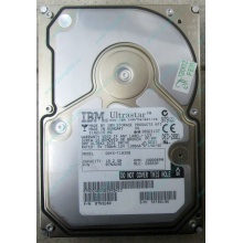 Жесткий диск 18.2Gb IBM Ultrastar DDYS-T18350 Ultra3 SCSI (Новочеркасск)