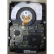 Жесткий диск 18.2Gb IBM Ultrastar DDYS-T18350 Ultra3 SCSI (Новочеркасск)
