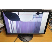 ViewSonic VA2413WM-2 разбитая матрица (Новочеркасск)