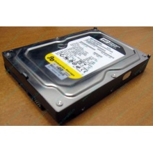 Жесткий диск 160Gb WD WD1602ABKS SATA (Новочеркасск)