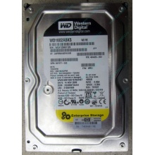 Жесткий диск 160Gb WD WD1602ABKS SATA (Новочеркасск)