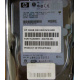 Жёсткий диск 146.8Gb HP 365695-008 404708-001 BD14689BB9 256716-B22 MAW3147NC 10000 rpm Ultra320 Wide SCSI купить в Новочеркасске, цена (Новочеркасск).