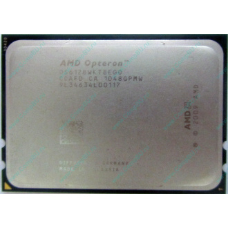 AMD Opteron 6128 OS6128WKT8EGO (Новочеркасск)