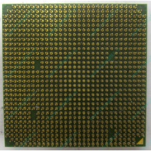 Процессор AMD Sempron 3000+ (1.6GHz) SDA3000IAA3CN s.AM2 (Новочеркасск)