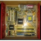 Материнская плата Asus P5L-VM 1394 s.775 (Новочеркасск)